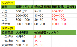 绿植租摆套餐